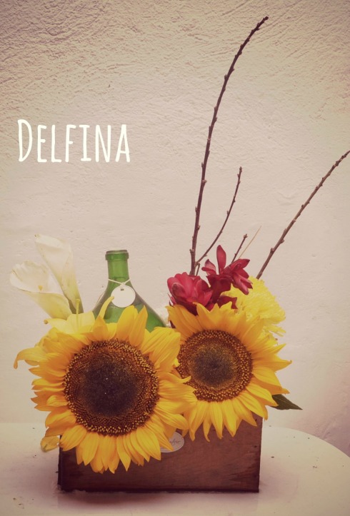 Delfina_Title_Pic